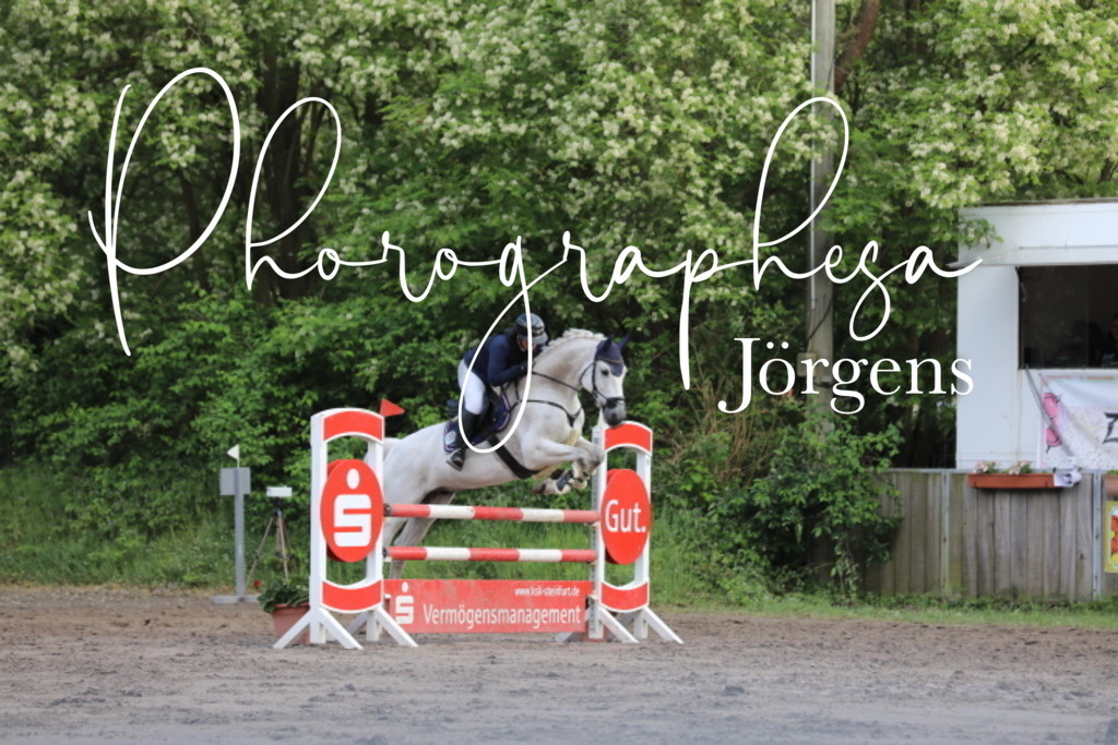 IMG_9092 | photographesa-joergens - Realisiert mit Pictrs.com