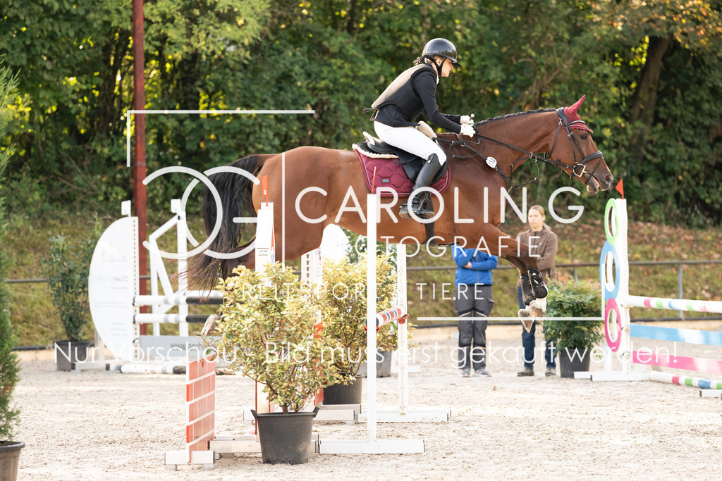 DSC01638 | Carolin Gieschke