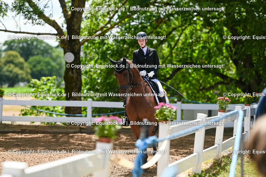 20230716_03_Dressurprfg. Kl.L - Tr._0066 | equistock