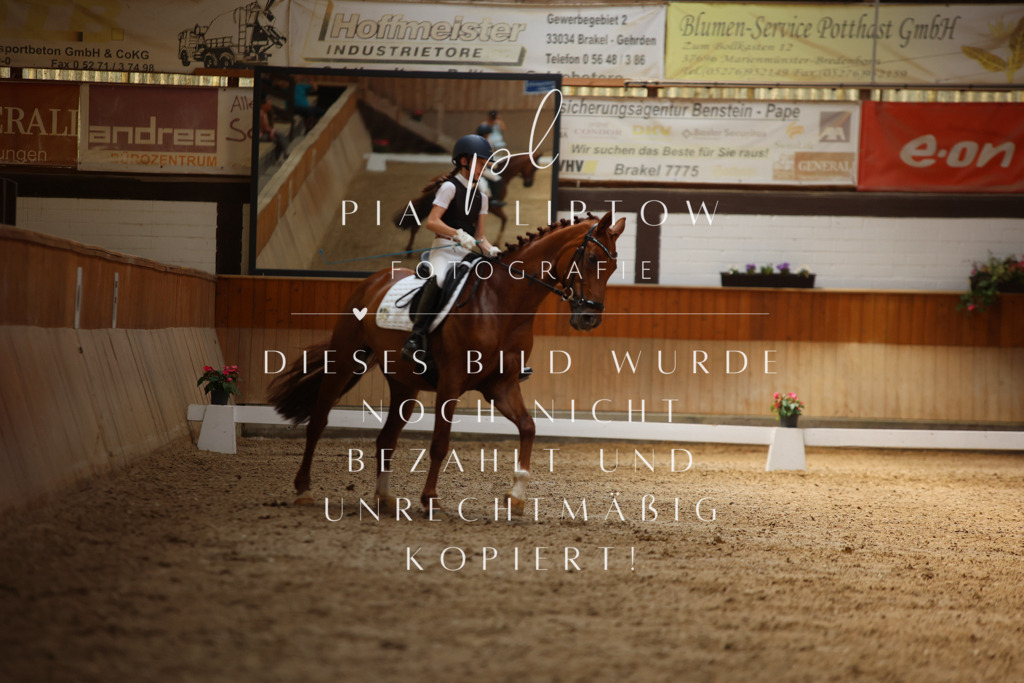 IMGM6105 | pl-fotografie