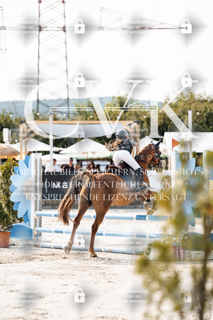 CK902742 | Turnierfotografie Pferdefotografie Trier Rheinland-Pfalz Pferdesport Reitsport Tierfotografie Sportfotografie Pferdevideo Pferdevideografie Equestrianvideography equestrianphotography  - Realisiert mit Pictrs.com