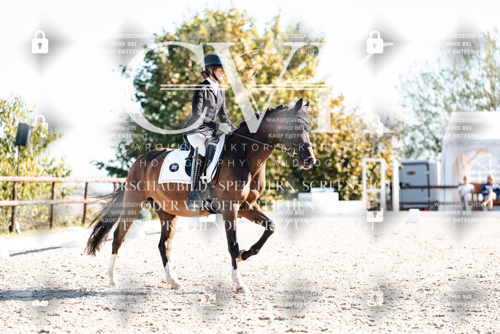 CK908564 | Turnierfotografie Pferdefotografie Trier Rheinland-Pfalz Pferdesport Reitsport Tierfotografie Sportfotografie Pferdevideo Pferdevideografie Equestrianvideography equestrianphotography  - Realisiert mit Pictrs.com