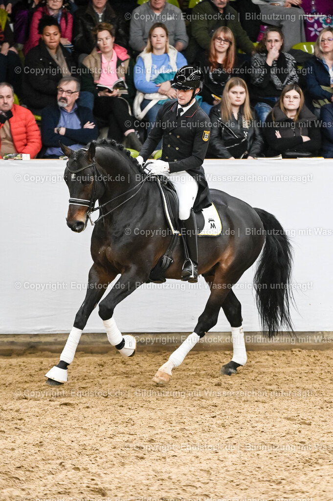 20260307_Hengstvorstellung-Marbach_0209 | equistock