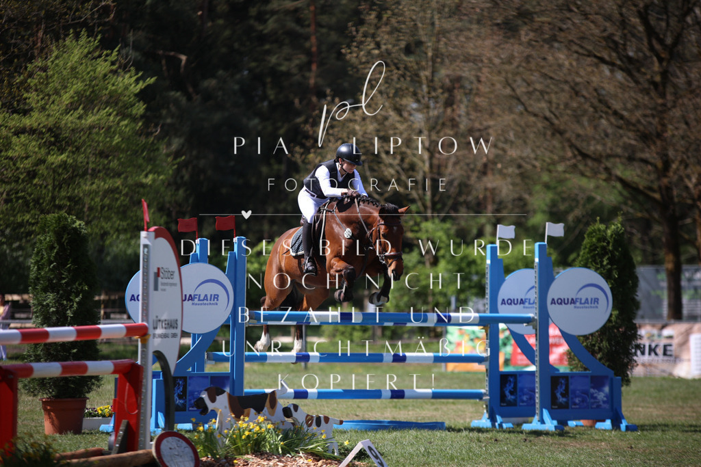 IMGT1005 | pl-fotografie