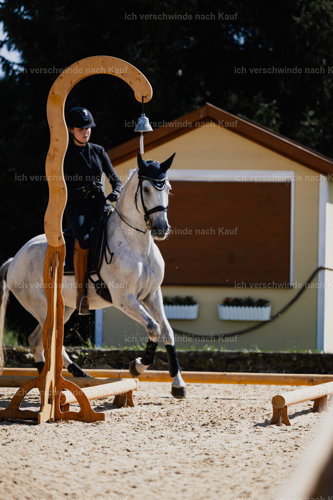 Svea13FHC2025-27377 | working equitationturnier fotograf videograf stoibphotography marixx film working equitation deutschland reitsport turnierfotografie eventfotografie equestrian events