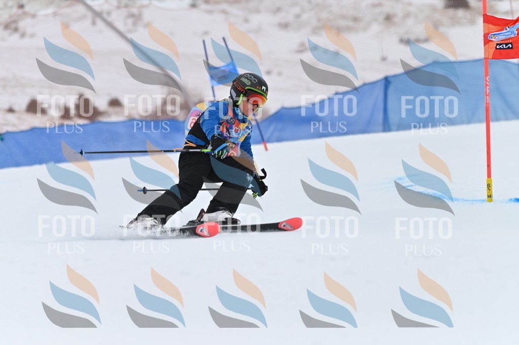 BGV_2173 | holidayphoto