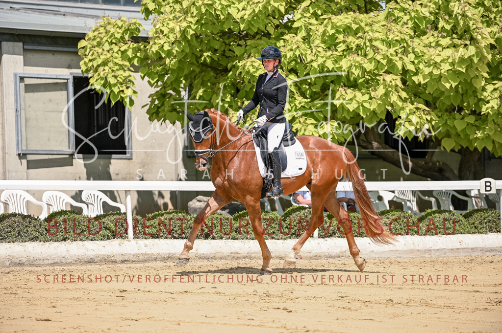 Schugtsche-Aluta25-48.Reitpferfdeprf.-255 | Schugtsche Fotografie - Realisiert mit Pictrs.com