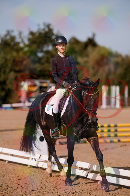 2026_10_03_Siefer-Hof_115732_Z81_98111953 | Professionelle Reitsport-, Turnier- und Eventfotografie von Robert Broda. Galerien mit ausgewählten und bearbeiteten Bildern direkt online ansehen und bestellen.