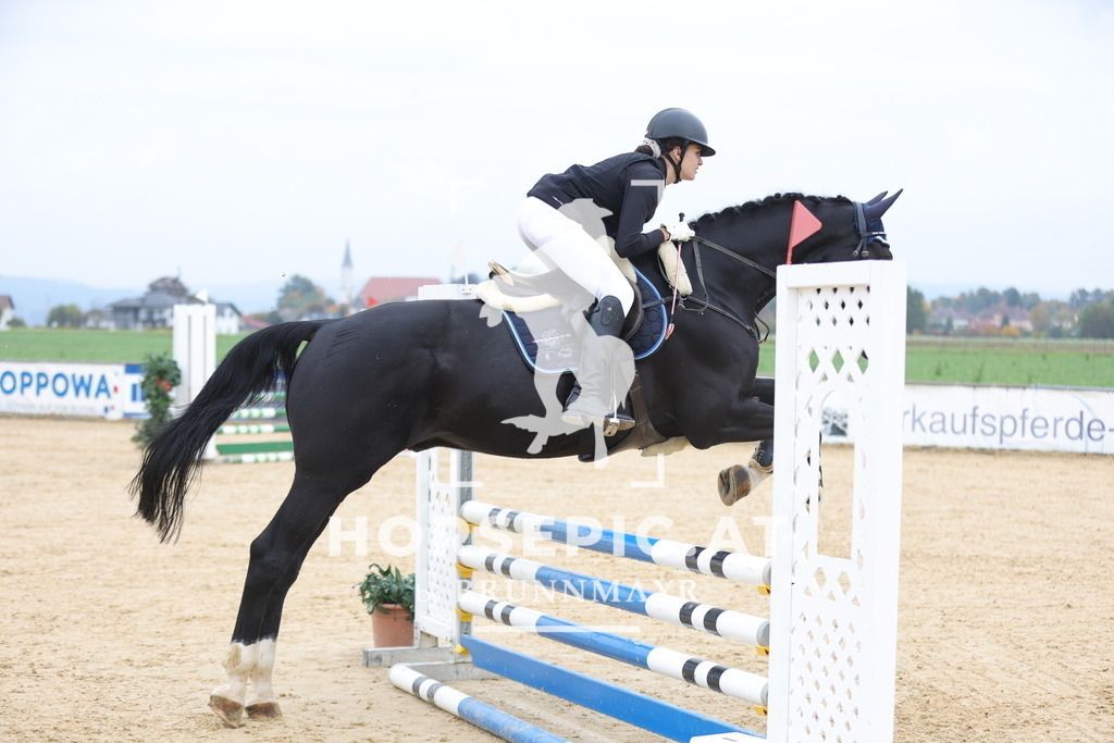 0P6A2187 | Willkommen bei Brunnmayr - Design & Fotografie – Ihrem Spezialisten für Reitturniere und Pferdeveranstaltungen in Oberösterreich, Salzburg und Bayern! Seit über 17 Jahren sind wir leidenschaftlich dabei.