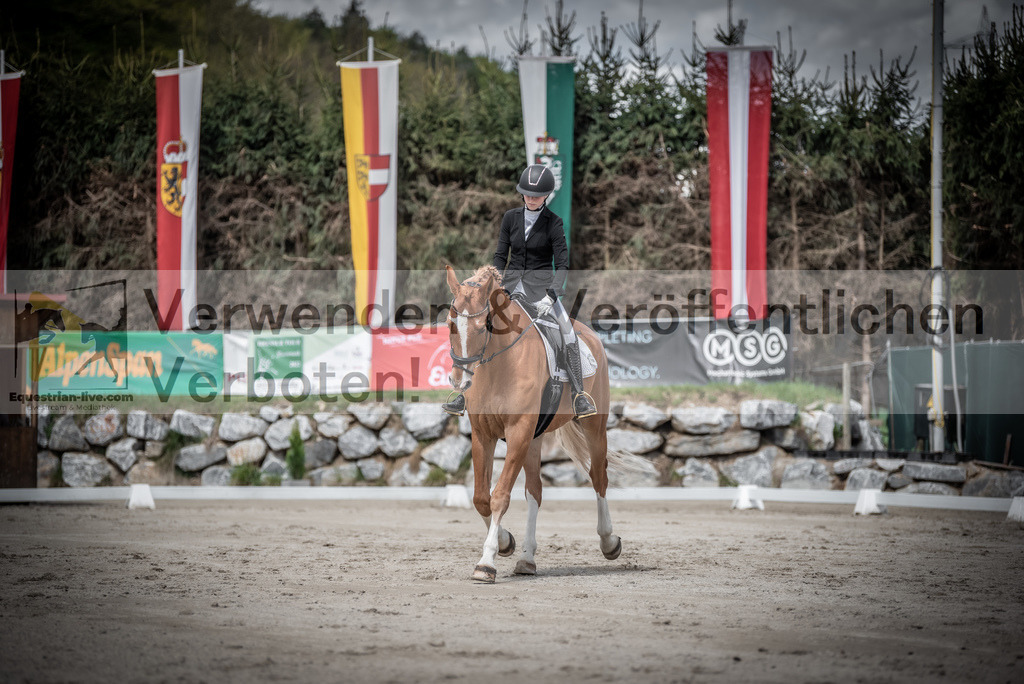 DSC_2637 | equestrian-live-com