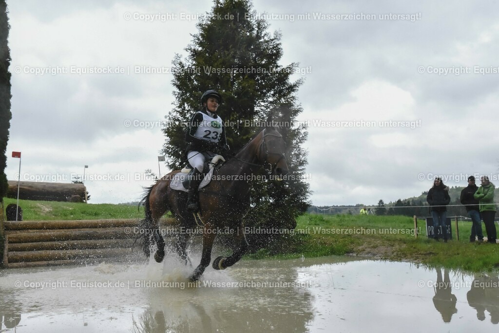 20230513_CCI2_Section2_Gelände_0575 | equistock