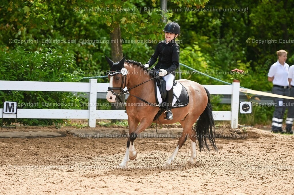 20230716_10-3_Reiter-WB Schritt - Trab - Galopp_0143 | equistock