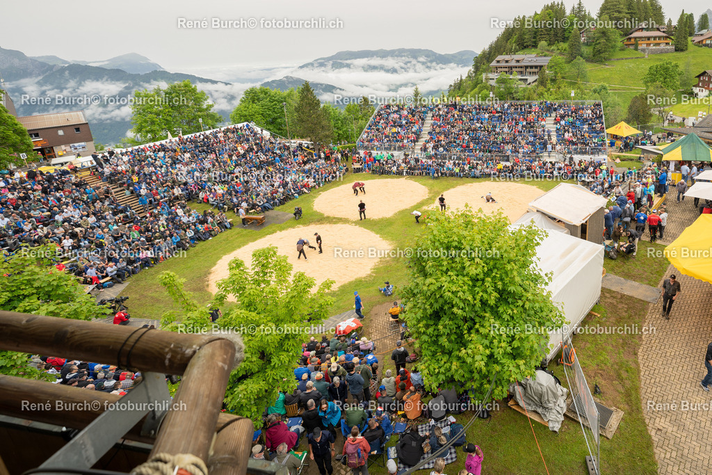 RB-01986 | René Burch leidenschaftlicher Fotograf aus Kerns in Obwalden.  Hier finden sie Sport, Landschaft und Natur Fotografie.
 - Realisiert mit Pictrs.com