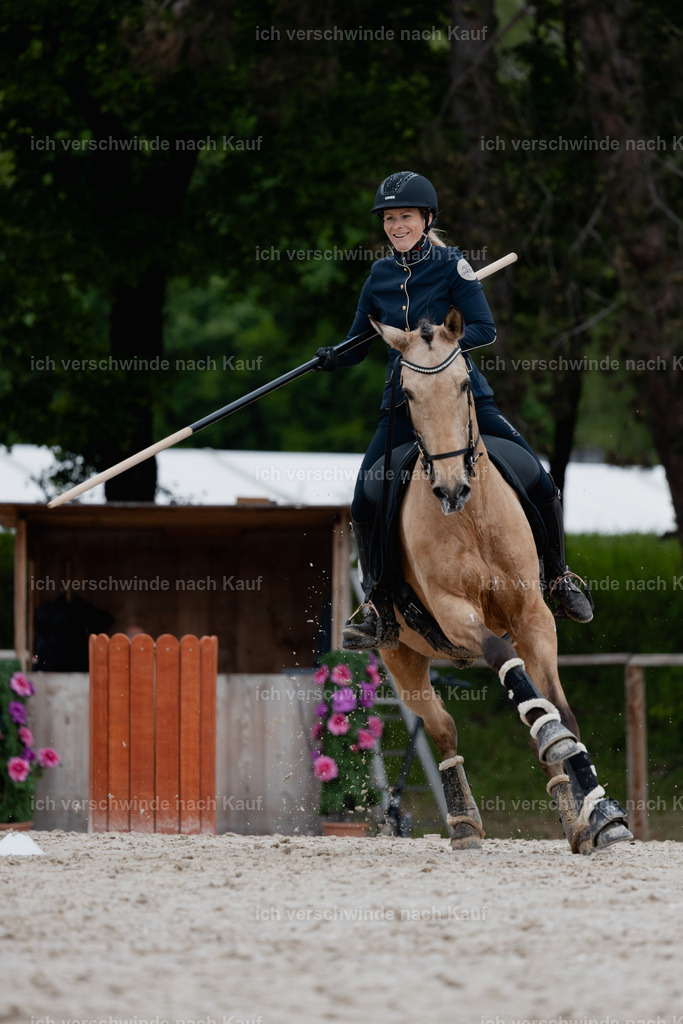 PI26_SP_StoibphotographyC2_C0669.jpg | working equitationturnier fotograf videograf stoibphotography marixx film working equitation deutschland reitsport turnierfotografie eventfotografie equestrian events