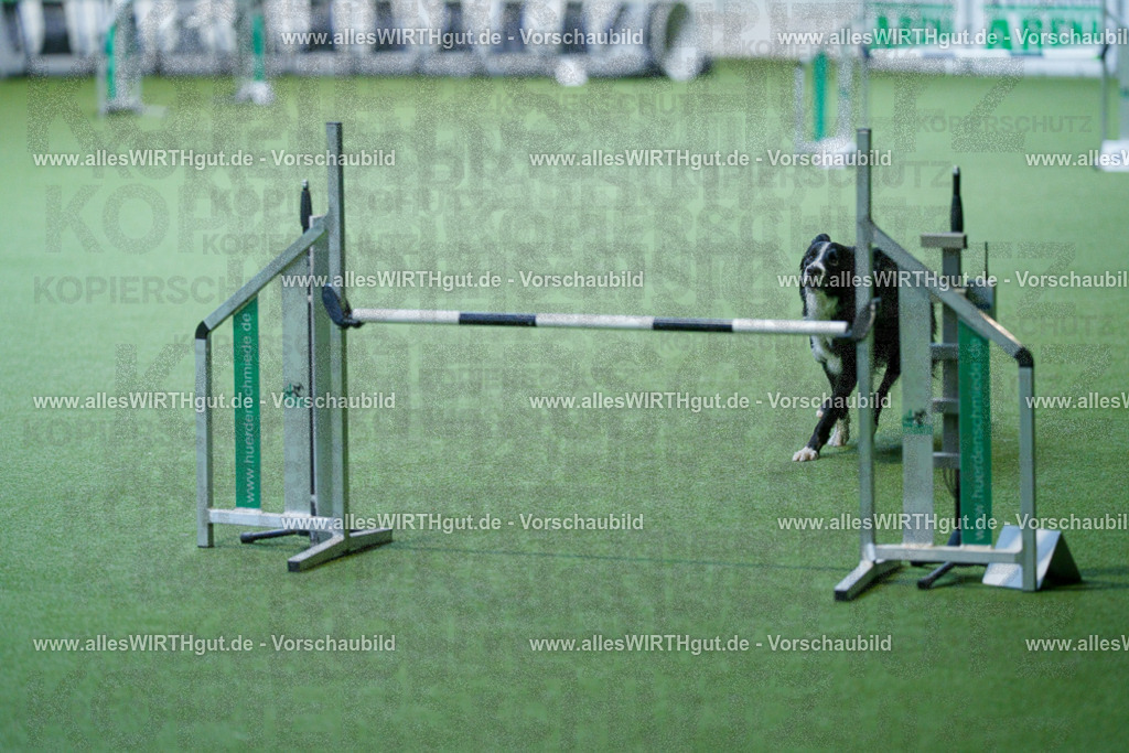 @allesWIRTHgut_Tierfotografie - www.allesWIRTHgut.de - 2604260809-7R506707 | Professionelle Tierfotografie in Mönchengladbach von Daniel Wirth (allesWIRTHgut). Liebevolle & natürliche Bilder von Hunden & Katzen für unvergessliche Erinnerungen.