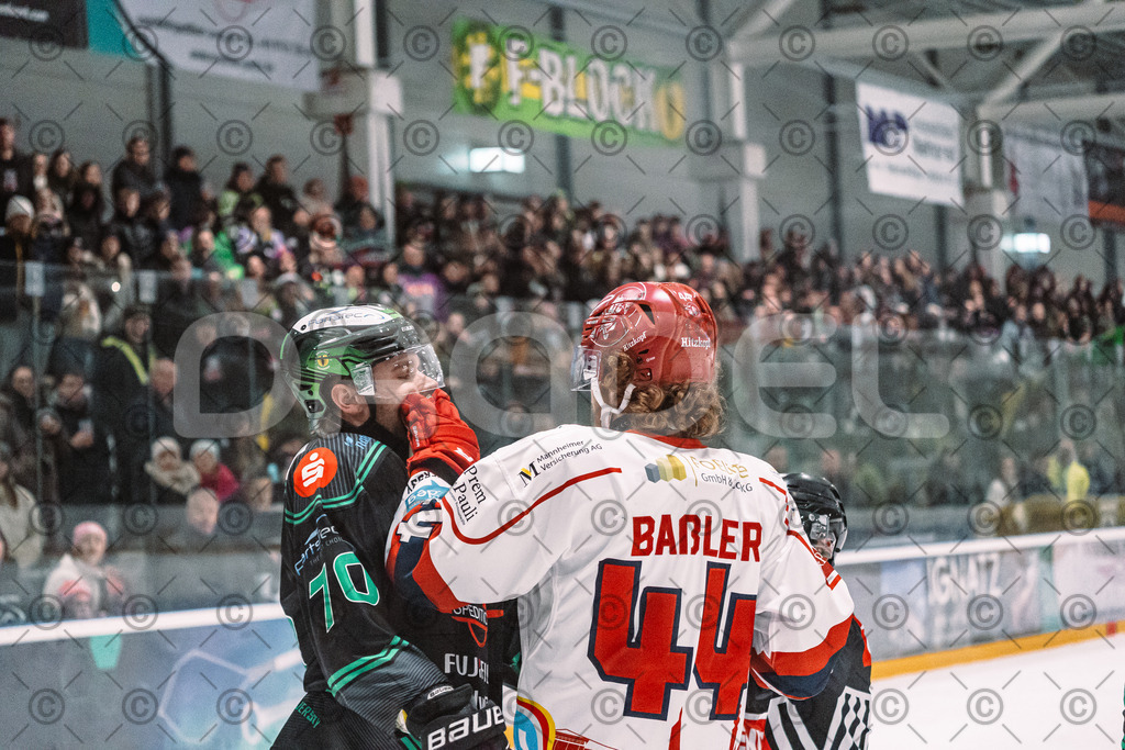 Alligators_vs_Deggendorf_23_01_2026-51 | Höchstadt Alligators Fotogalerie: Eishockey-Action aus Franken. Professionelle Spielfotos, Portraits & Stadionbilder zum Download. Jetzt entdecken! - Realisiert mit Pictrs.com