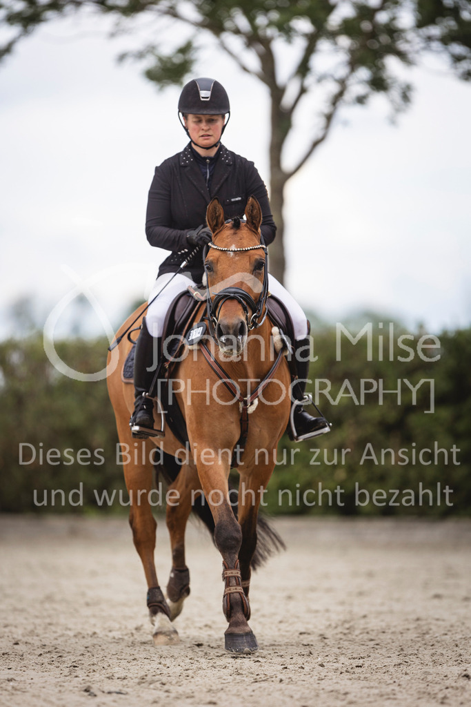 240616_Lemwerder_A2-Spr-207 | Deine schönsten Turniermomente als professionelle Fotos! Entdecke hochwertige Pferdesport-Fotografie im Online-Shop. Jetzt Fotos finden & bestellen!