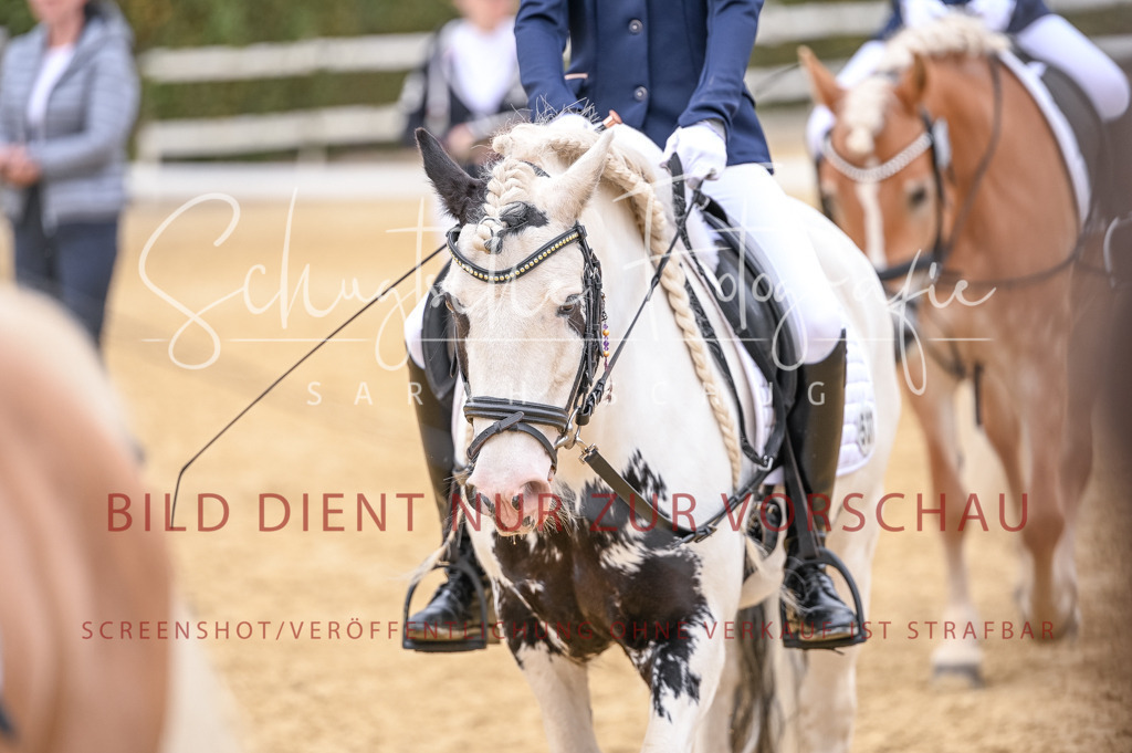 Schugtsche-Aluta25-47.ReiterWB_ST-15 | Schugtsche Fotografie - Realisiert mit Pictrs.com