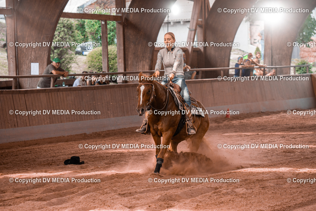 NE300702 | dv-media-shop - Realisiert mit Pictrs.com