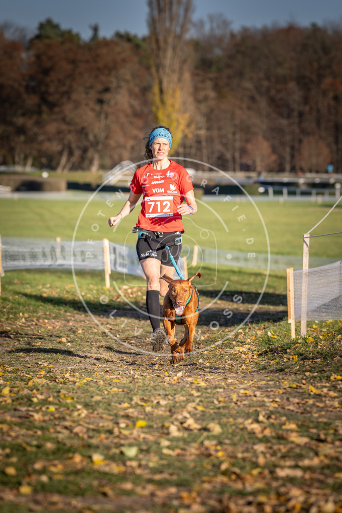 CaniXpix_DV3A1657 | Hundefotografie, Tierfotograf, Pfotenfotografie, Fotoshooting Hund, Hunde Portrait, Hundesport, Hundeportraits, Heideshooting, Hunde, Sportfotograf, Hundefotograf, Turnierhundsport, THS,  - Realisiert mit Pictrs.com