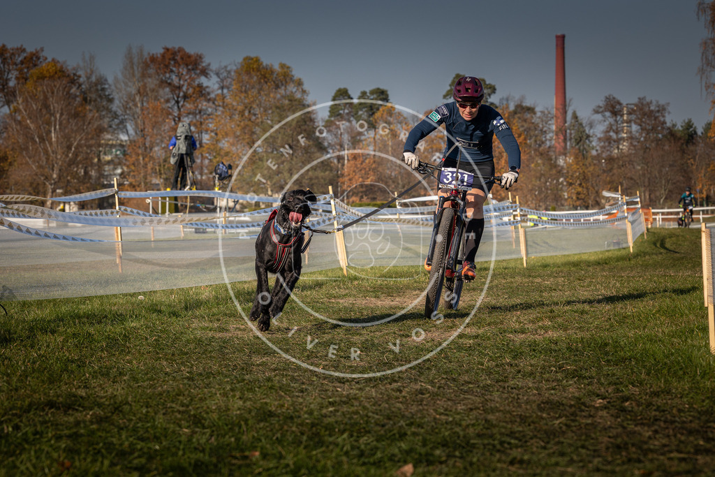 CaniXpix_0L8A8179 | Hundefotografie, Tierfotograf, Pfotenfotografie, Fotoshooting Hund, Hunde Portrait, Hundesport, Hundeportraits, Heideshooting, Hunde, Sportfotograf, Hundefotograf, Turnierhundsport, THS,  - Realisiert mit Pictrs.com