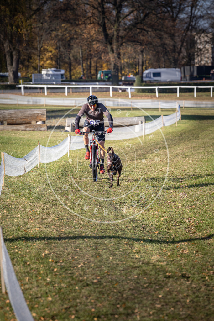 CaniXpix_DV3A2365 | Hundefotografie, Tierfotograf, Pfotenfotografie, Fotoshooting Hund, Hunde Portrait, Hundesport, Hundeportraits, Heideshooting, Hunde, Sportfotograf, Hundefotograf, Turnierhundsport, THS,  - Realisiert mit Pictrs.com