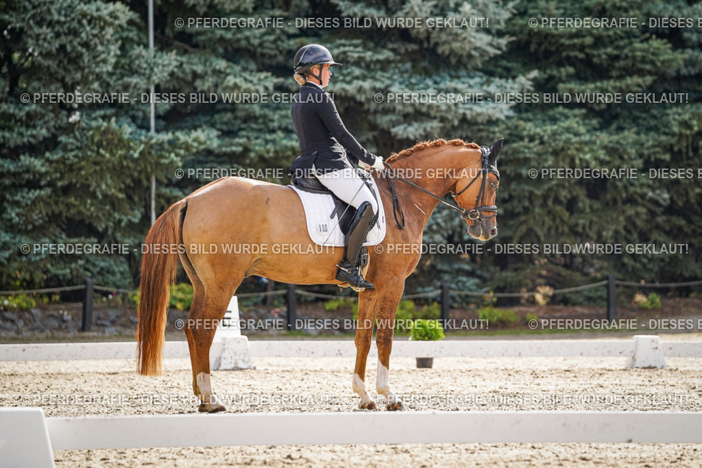 DSC07031 | Pferdegrafie