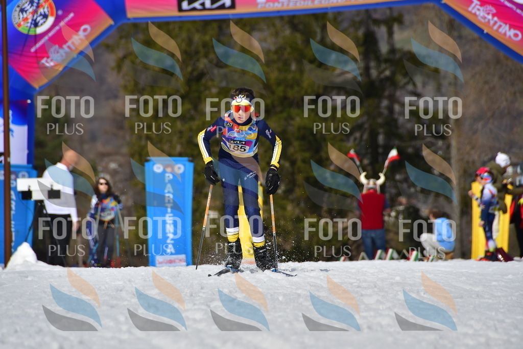 _DSC0857 | holidayphoto