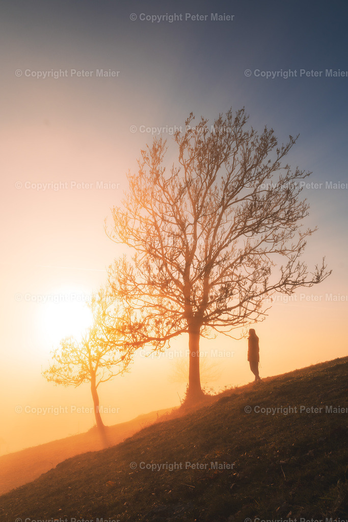 Magdalensberg-383 | piet_flosse