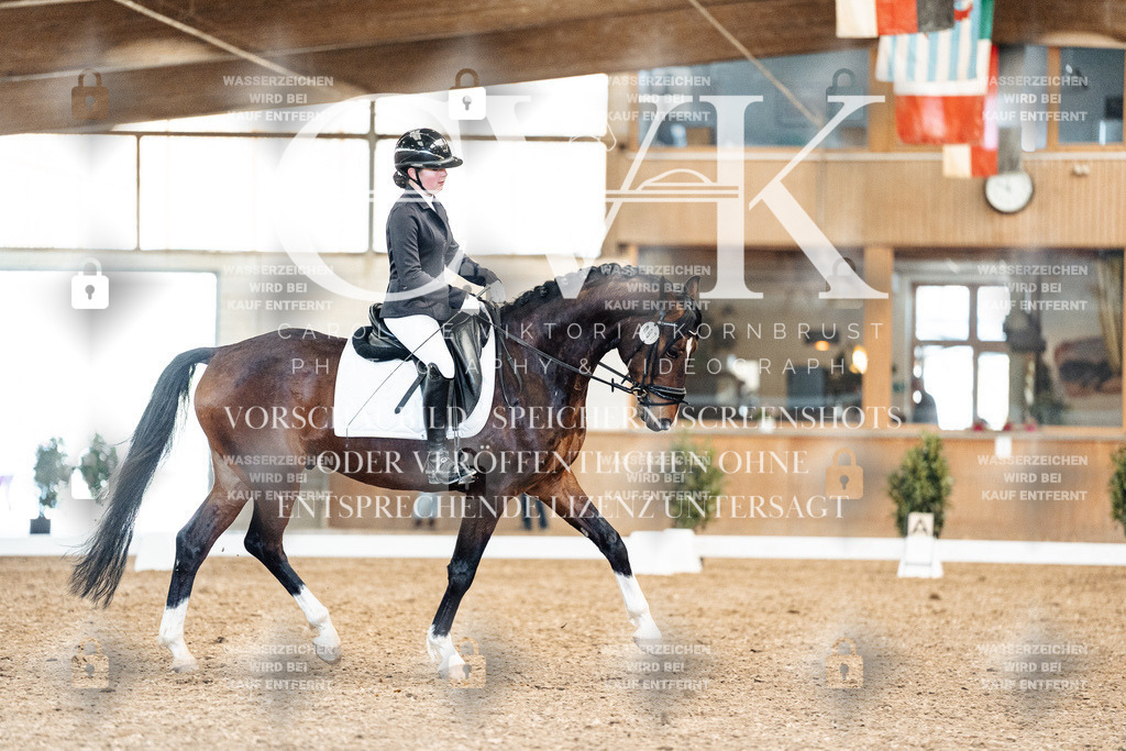 CK909882 | Turnierfotografie Pferdefotografie Trier Rheinland-Pfalz Pferdesport Reitsport Tierfotografie Sportfotografie Pferdevideo Pferdevideografie Equestrianvideography equestrianphotography  - Realisiert mit Pictrs.com
