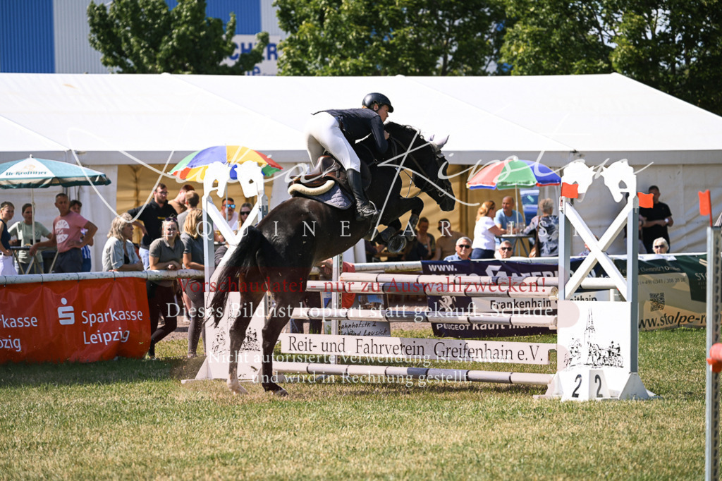 DSC_0474 | Pferde- und Turnierfotografie in Westsachsen. Pferdeportraits, Auftragszeichnungen und intuitive Kunst.
