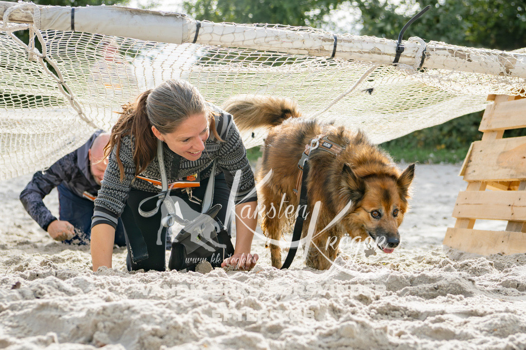 1306_ZZ94991 | kk-dogfotos