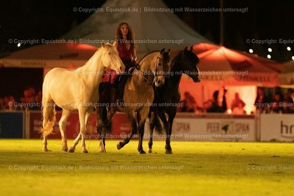 20230526_Pferdenacht_1519 | equistock