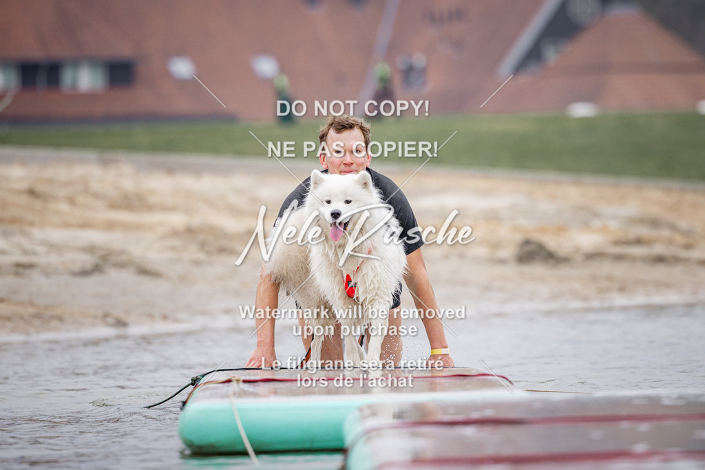nelerasche_Hulsbeek_Sa1030-1100_310 | nelerasche