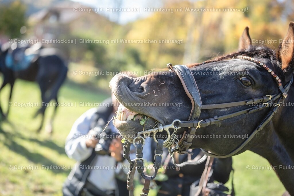 20251011_Jagd-Marbach_0719 | Foto: Thomas Hartig