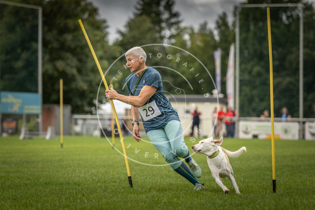 Pfotenfotografie_DV3A8280 | Hundefotografie, Tierfotograf, Pfotenfotografie, Fotoshooting Hund, Hunde Portrait, Hundesport, Hundeportraits, Heideshooting, Hunde, Sportfotograf, Hundefotograf, Turnierhundsport, THS,  - Realisiert mit Pictrs.com