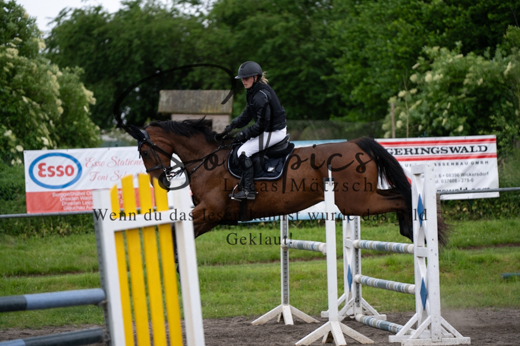 A7V05016 | Pferdefotograf