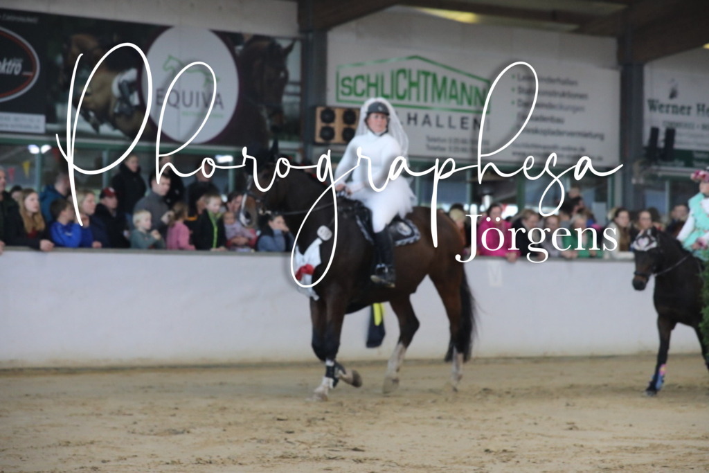 IMG_1780 | photographesa-joergens - Realisiert mit Pictrs.com