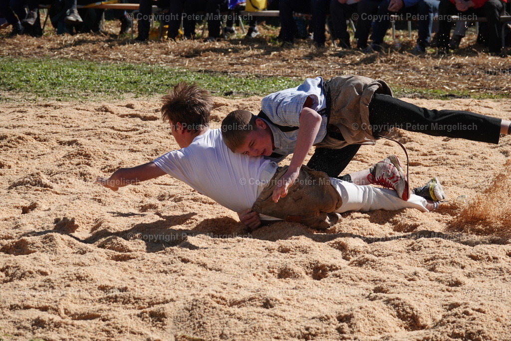 DSC00034 | Schwingen - Realisiert mit Pictrs.com