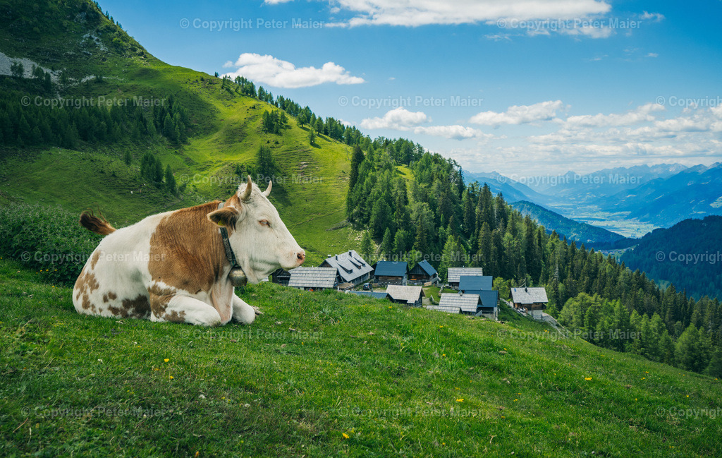 Wandern_Karnische_Milchstrasse_2020-271 | piet_flosse