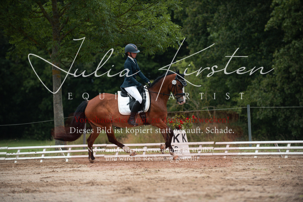 DSC_9832 | Pferde- und Turnierfotografie in Westsachsen. Pferdeportraits, Auftragszeichnungen und intuitive Kunst.