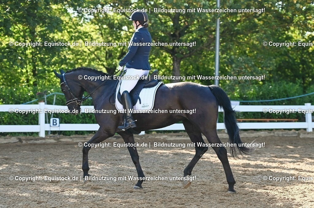 20230715_06_Dressurpferdeprfg. Kl.A_0171 | equistock