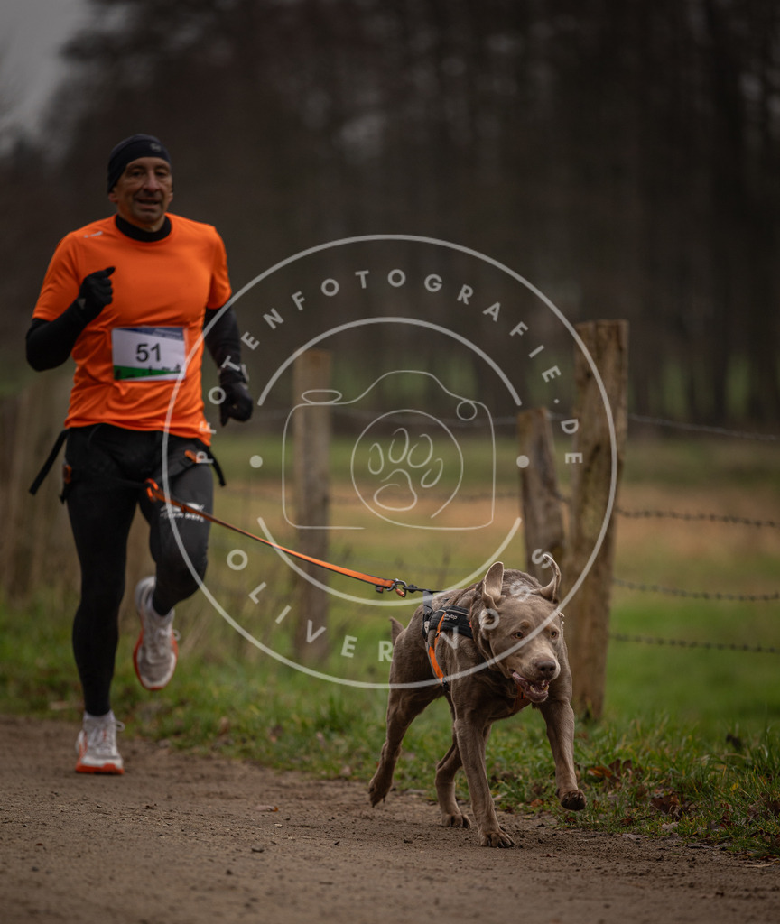 Pfotenfotografie_DV3A2872 | Hundefotografie, Tierfotograf, Pfotenfotografie, Fotoshooting Hund, Hunde Portrait, Hundesport, Hundeportraits, Heideshooting, Hunde, Sportfotograf, Hundefotograf, Turnierhundsport, THS,  - Realisiert mit Pictrs.com