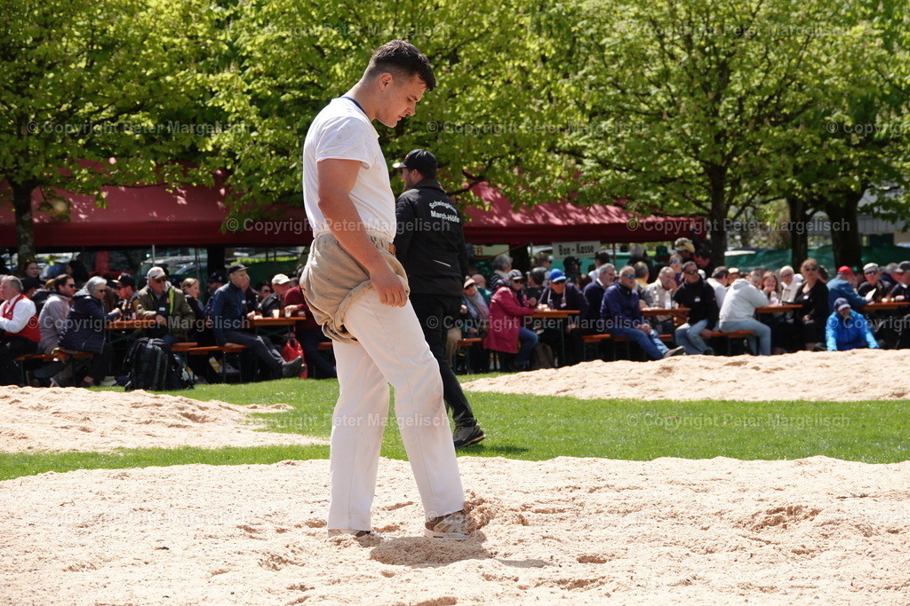 DSC00554 | Schwingen - Realisiert mit Pictrs.com