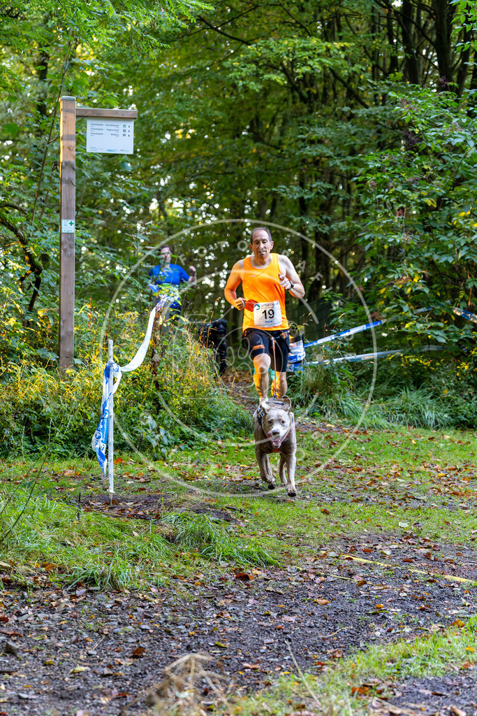Pfotenfotografie_DV3A6426 | Hundefotografie, Tierfotograf, Pfotenfotografie, Fotoshooting Hund, Hunde Portrait, Hundesport, Hundeportraits, Heideshooting, Hunde, Sportfotograf, Hundefotograf, Turnierhundsport, THS,  - Realisiert mit Pictrs.com