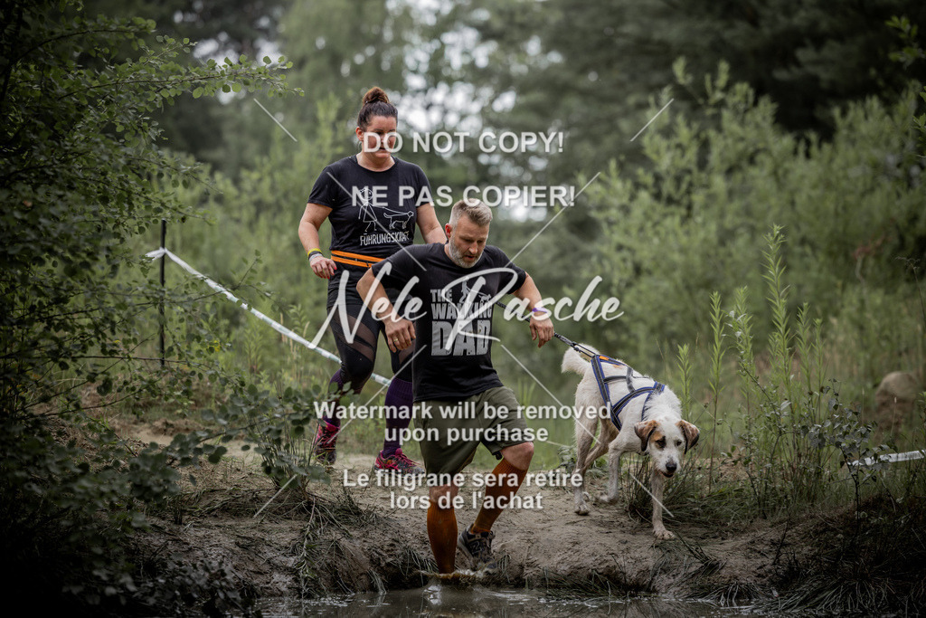 nelerasche_so0800-0930_417 | nelerasche