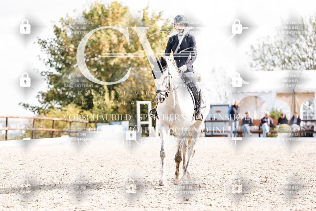 CK902001 | Turnierfotografie Pferdefotografie Trier Rheinland-Pfalz Pferdesport Reitsport Tierfotografie Sportfotografie Pferdevideo Pferdevideografie Equestrianvideography equestrianphotography  - Realisiert mit Pictrs.com
