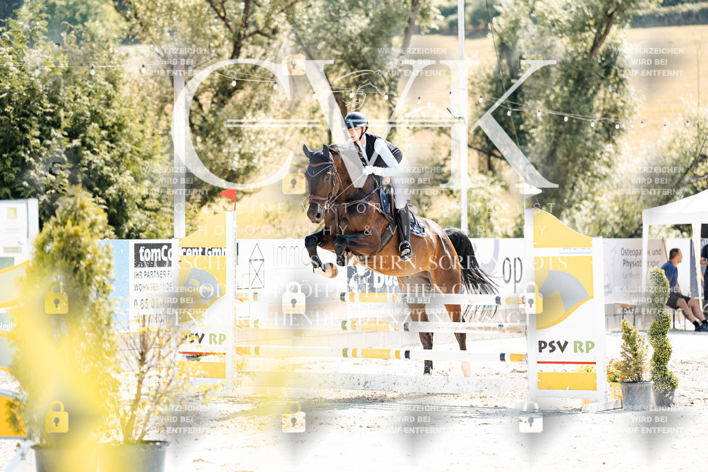 CK909138 | Turnierfotografie Pferdefotografie Trier Rheinland-Pfalz Pferdesport Reitsport Tierfotografie Sportfotografie Pferdevideo Pferdevideografie Equestrianvideography equestrianphotography  - Realisiert mit Pictrs.com