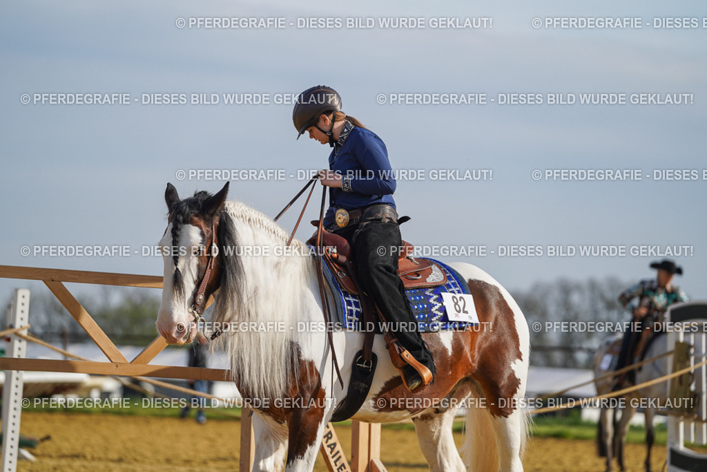 DSC00940 | Pferdegrafie