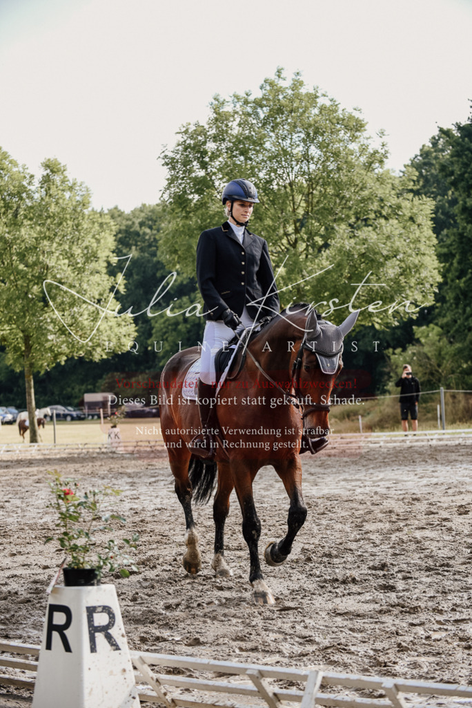 DSC_9027 | Pferde- und Turnierfotografie in Westsachsen. Pferdeportraits, Auftragszeichnungen und intuitive Kunst.